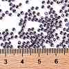 TOHO Round Seed Beads SEED-JPTR11-0749-4