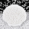Baking Paint Glass Seed Beads SEED-N007-29L-1