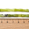 Natural Xiuyan Jade Beads Strands G-L624-G05-12x5mm-5