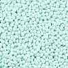 6/0 Glass Seed Beads SEED-L011-08A-14-3