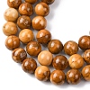 Natural Alashan Agate Beads Strands G-H343-D05-12mm-C-4