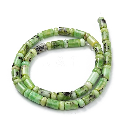 Natural Serpentine Beads Strands G-C074-01-1