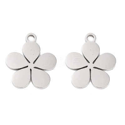 Non-Tarnish 316 Stainless Steel Charms X-STAS-C096-10C-P-1