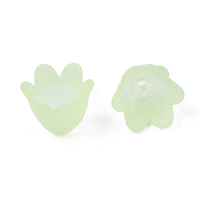 Transparent Acrylic Bead Caps FACR-N005-002B-1