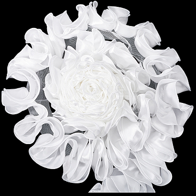 4.6~5 Yards Polyester Satin Chiffon Wavy Lace OCOR-GF0003-53B-1