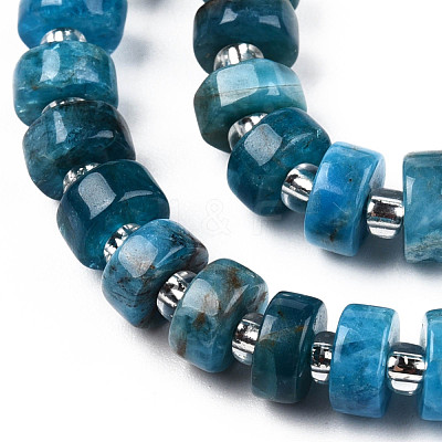 Natural Apatite Beads Strands G-N327-07D-1