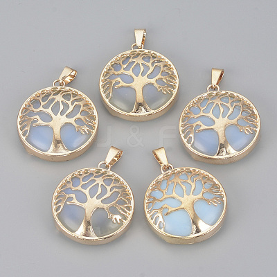 Opalite Pendants G-S292-10N-G-1