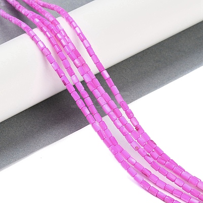 Natural Freshwater Shell Beads Strands BSHE-H109-17B-1