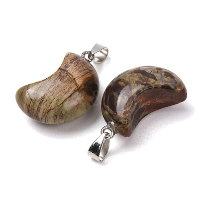 Natural Crazy Agate Pendants G-F820-02L-10-1