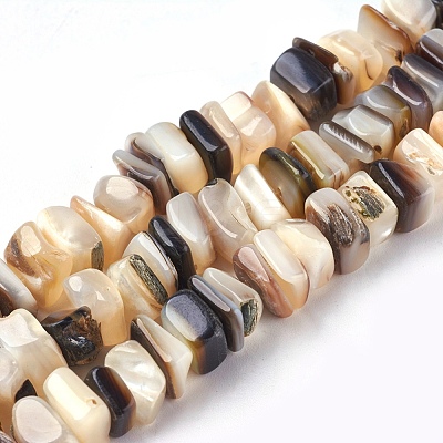 Freshwater Shell Beads Strands X-BSHE-O017-09-1