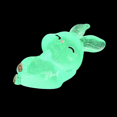Luminous Resin Rabbit Ornament DJEW-R011-02D-1