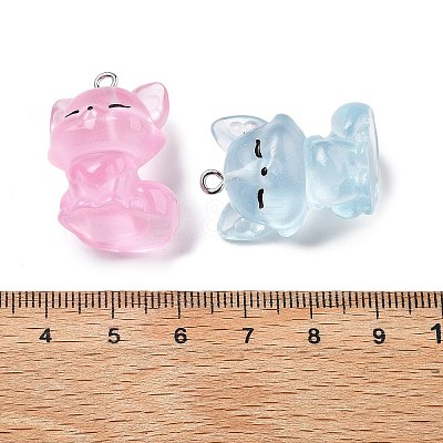 Cute Transparent Resin Pendants RESI-S020-03P-1