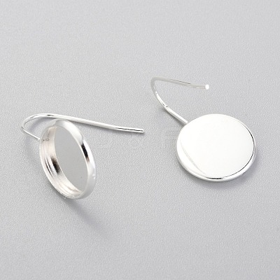 304 Stainless Steel Earring Hooks STAS-F227-22C-S-1