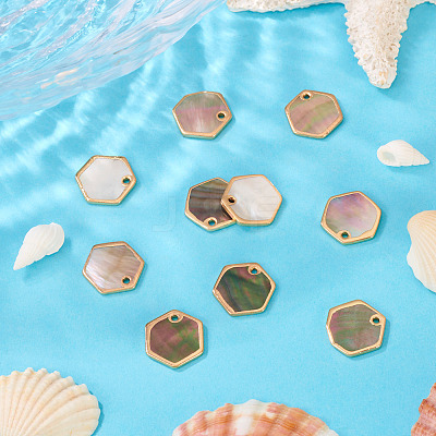 10Pcs Natural Black Lip Shell Hexagon Charms BSHE-TA0001-25-1