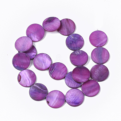 Freshwater Shell Beads Strands SHEL-T014-011E-1