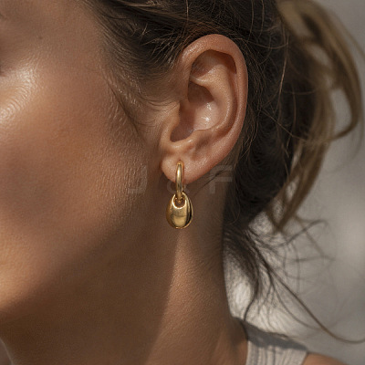 304 Stainless Steel Hoop Dangle Earrings for Women WG157E2-02-1
