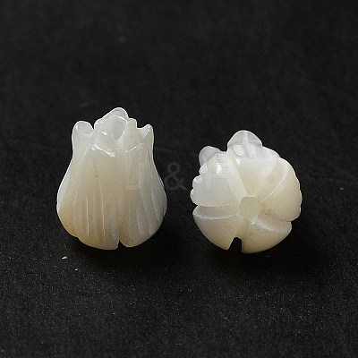 Natural Trochid Shell/Trochus Shell Beads BSHE-E026-03-1
