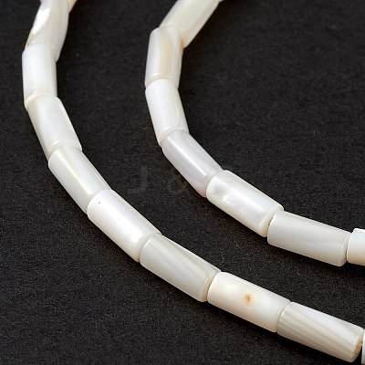 Natural Freshwater Shell Dyed Beads Strands SHEL-M018-11-12-1