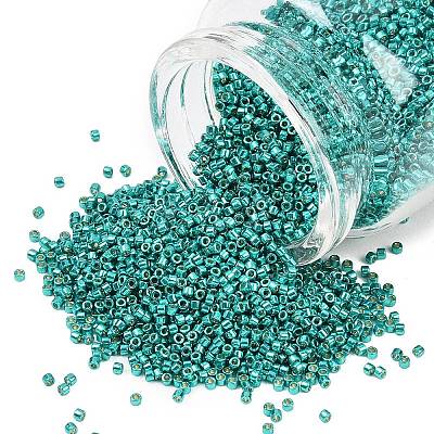 MIYUKI Delica Beads X-SEED-J020-DB2506-1
