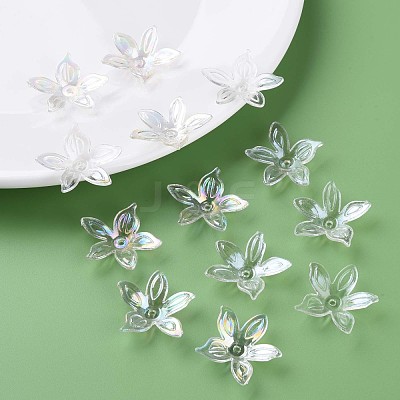 Transparent Acrylic Beads MACR-S373-102-C07-1