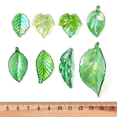Transparent Acrylic Pendants OACR-G056-01C-1