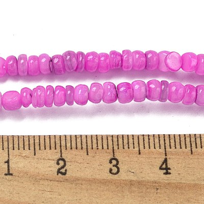 Dyed Natural Freshwater Shell Beads Strands X1-BSHE-G039-07L-1