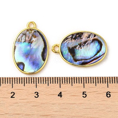 Natural Paua Shell Pendants KK-E059-11G-1