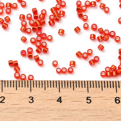 Glass Seed Beads X-SEED-S042-04B-10-1