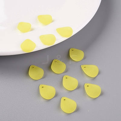 Transparent Frosted Acrylic Pendants MACR-S371-09A-717-1