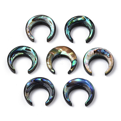 Natural Abalone Shell/Paua Shell Beads SSHEL-N034-122B-01-1