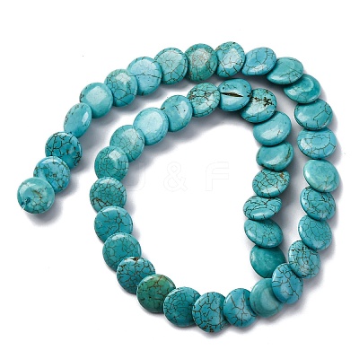 Natural Howlite Beads Strands G-F783-H03-01-1