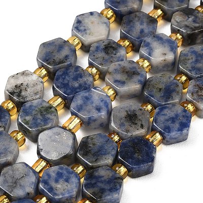 Natural Blue Spot Jasper Beads Strands G-F833-B16-01-1