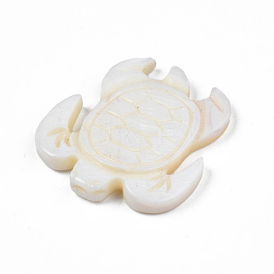 Natural Freshwater Shell Cabochons SHEL-S276-163-1
