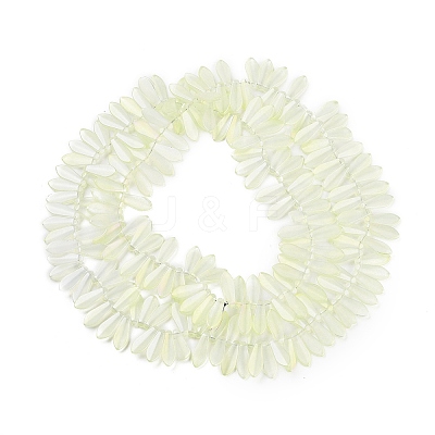 Electroplate Glass Beads Strands EGLA-C005-01A-FR02-1
