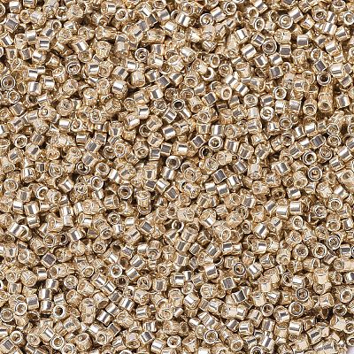 MIYUKI Delica Beads X-SEED-J020-DB0433-1