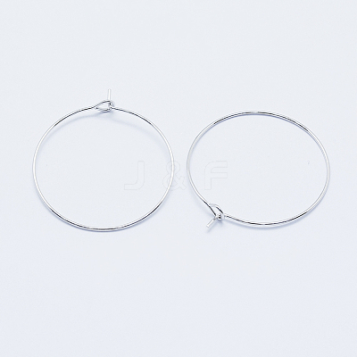 Long-Lasting Plated Brass Hoop Earrings Findings KK-K204-179P-NF-1
