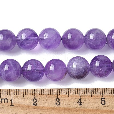 Natural Amethyst Beads Strands G-R446-10mm-21-A-1