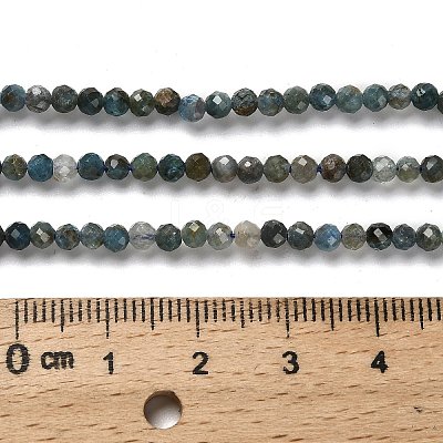 Natural Apatite Beads Strands G-RM2025-A18-3mm-A-1