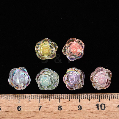 Transparent Acrylic Beads TACR-T024-06B-1