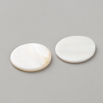 Natural Shell Disc Cabochons LS-DIY-WH0888-873-1