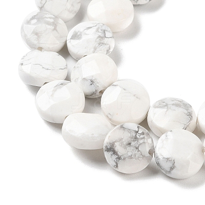 Natural Howlite Beads Strands G-K357-B06-01-1