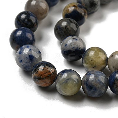 Natural Sodalite Beads Strands G-F591-13-1