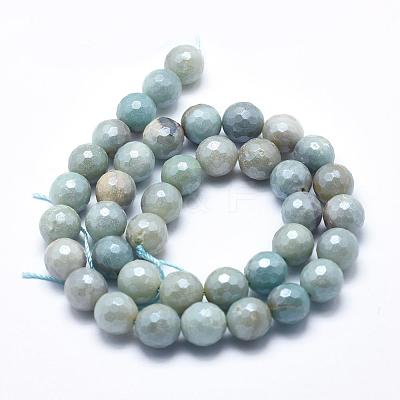 Natural Amazonite Beads Strands G-O164-02-10mm-1