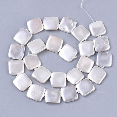 Shell Pearl Beads Strands SSHEL-T011-04A-1