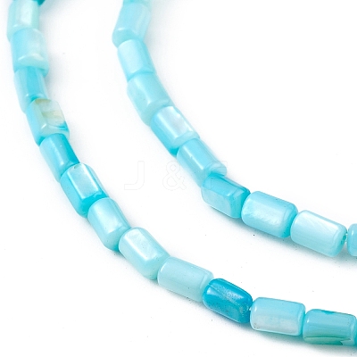 Natural Freshwater Shell Dyed Beads Strands SHEL-M018-12-05-1