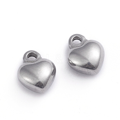Non-Tarnish 304 Stainless Steel Charms STAS-G236-01P-A-1