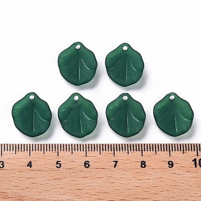 Transparent Frosted Acrylic Pendants MACR-S371-02A-735-1