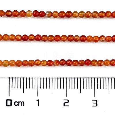Natural Red Agate Beads Strands G-M438-A10-02-1