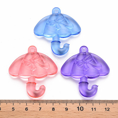 Transparent Acrylic Pendants TACR-T024-01B-1