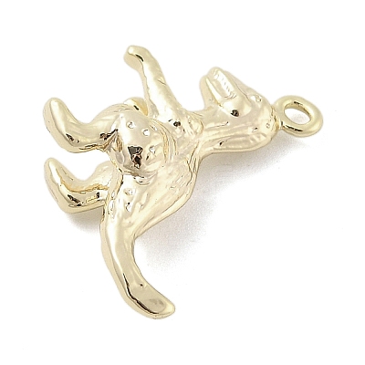 Brass Pendants LS-KK-S514-01D-G-1